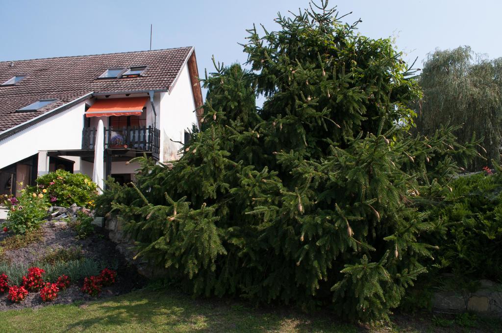 Apartment Edelweiss Egsdorf Exteriör bild